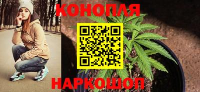 Альфа ПВП Нягань