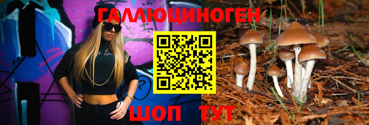 Галлюциногенные грибы Magic Shrooms Ржев